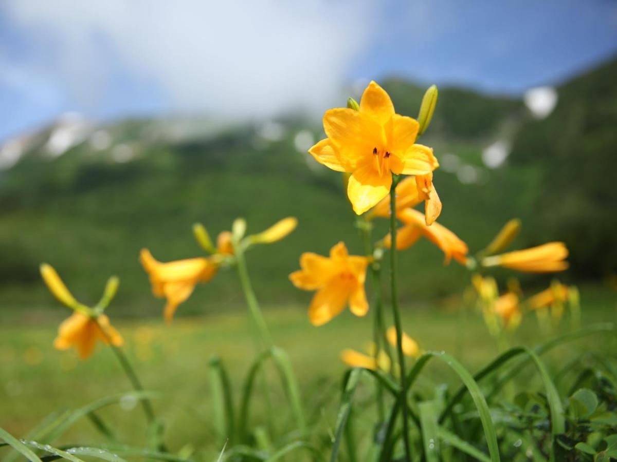 Apprising Hotels Granjam Tsugaike 오타리 외부 사진